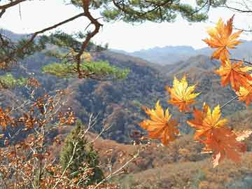 兰州试管助孕机构去哪里好(正规三代试管助孕机构地址查询)
